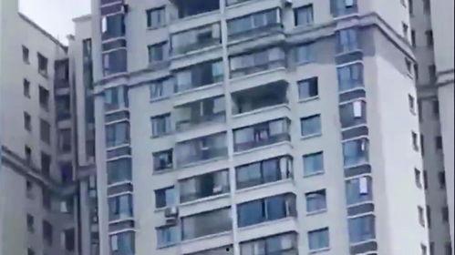 贵州花果园吃瓜现场视频,全民共享夏日清凉时光