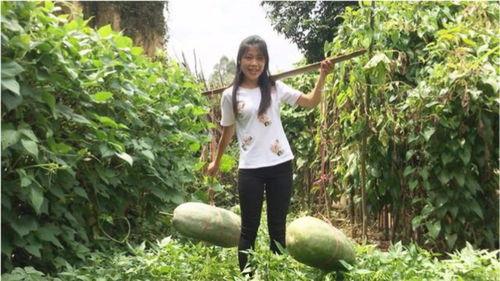 巩留女神吃瓜视频大全集,揭秘娱乐圈幕后故事