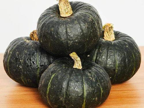 小孩吃贝贝瓜的视频教程,儿童视频教程轻松学