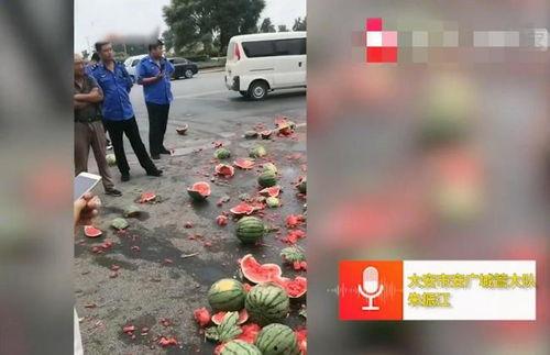 镇平疫情吃瓜事件视频最新,真相与谣言的较量