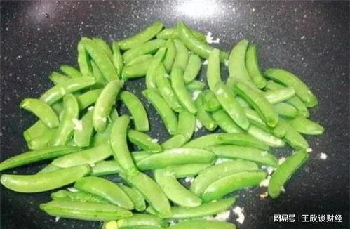 小甜豆的吃瓜视频,揭秘娱乐圈幕后故事