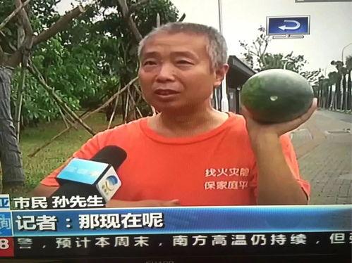 四川最新吃瓜事件新闻视频,视频揭秘惊人真相！