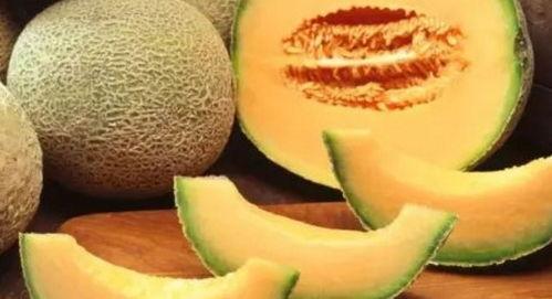 羊仔吃哈密瓜好吗视频,美味与健康的完美邂逅